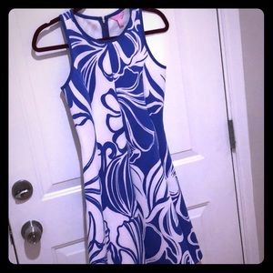 Comfy Blue & White Lilly Dress